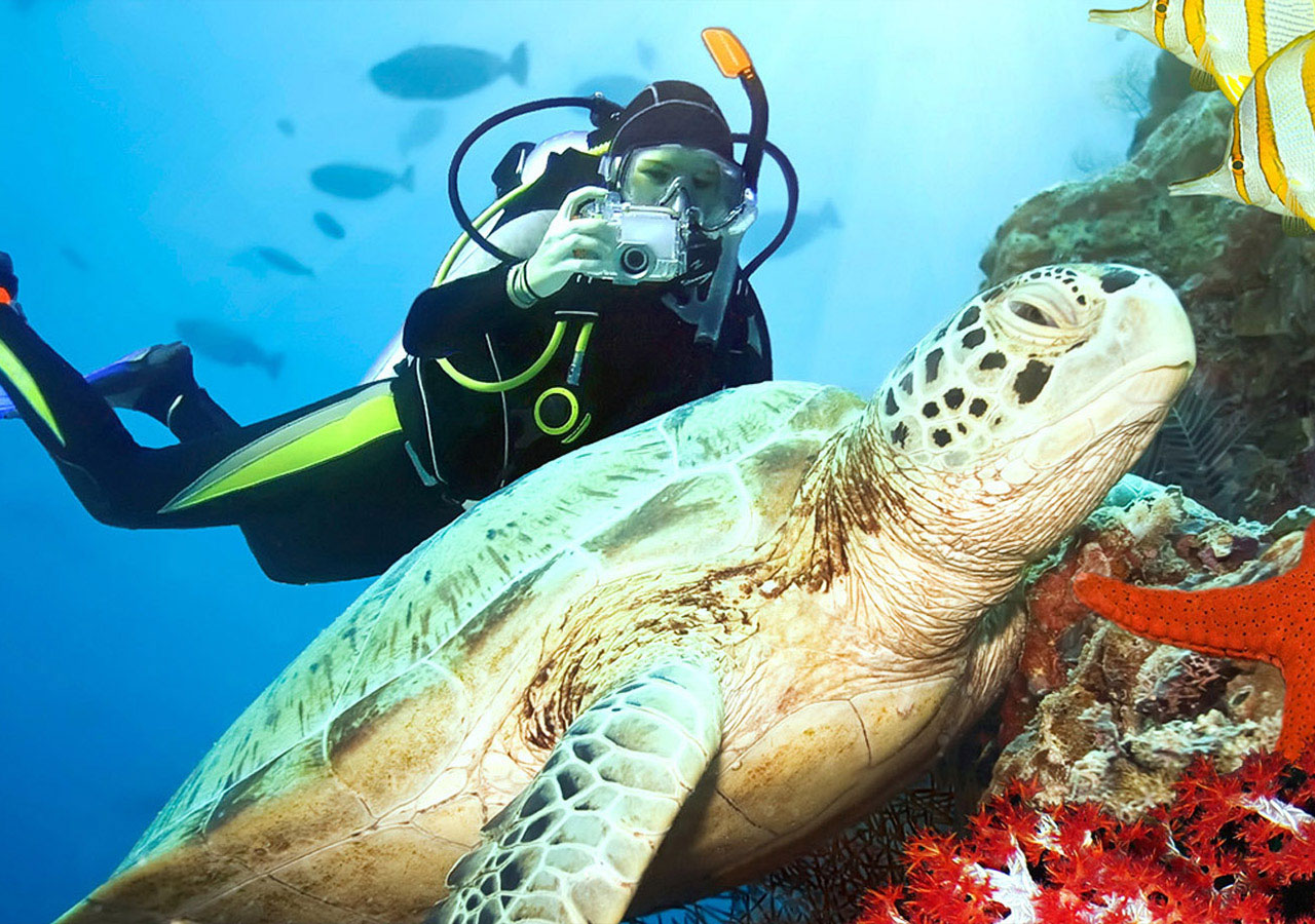 RHODES SCUBA DIVING